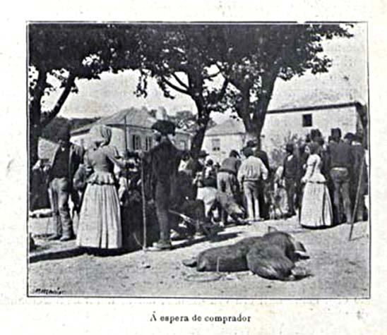 [feiracomprador.jpg]