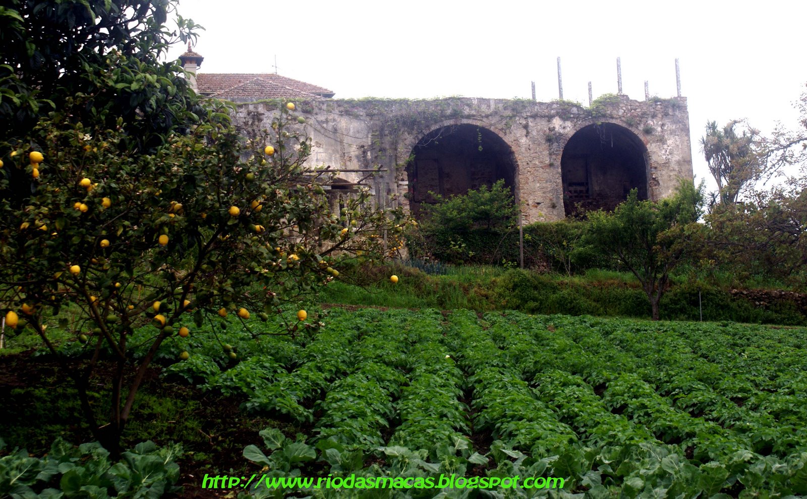 [castelocolares9.jpg]