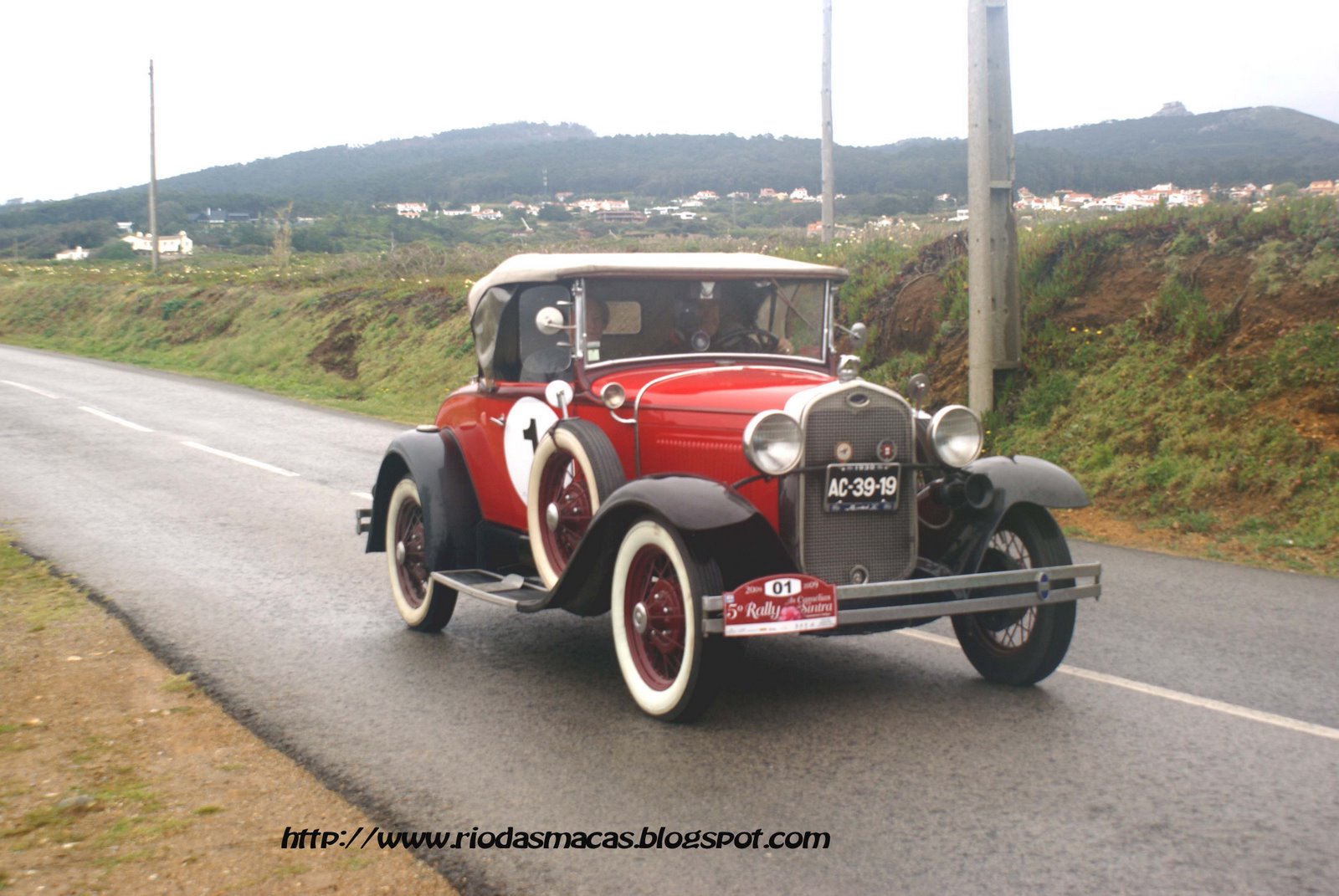 [rallycamelias2+copy.jpg]