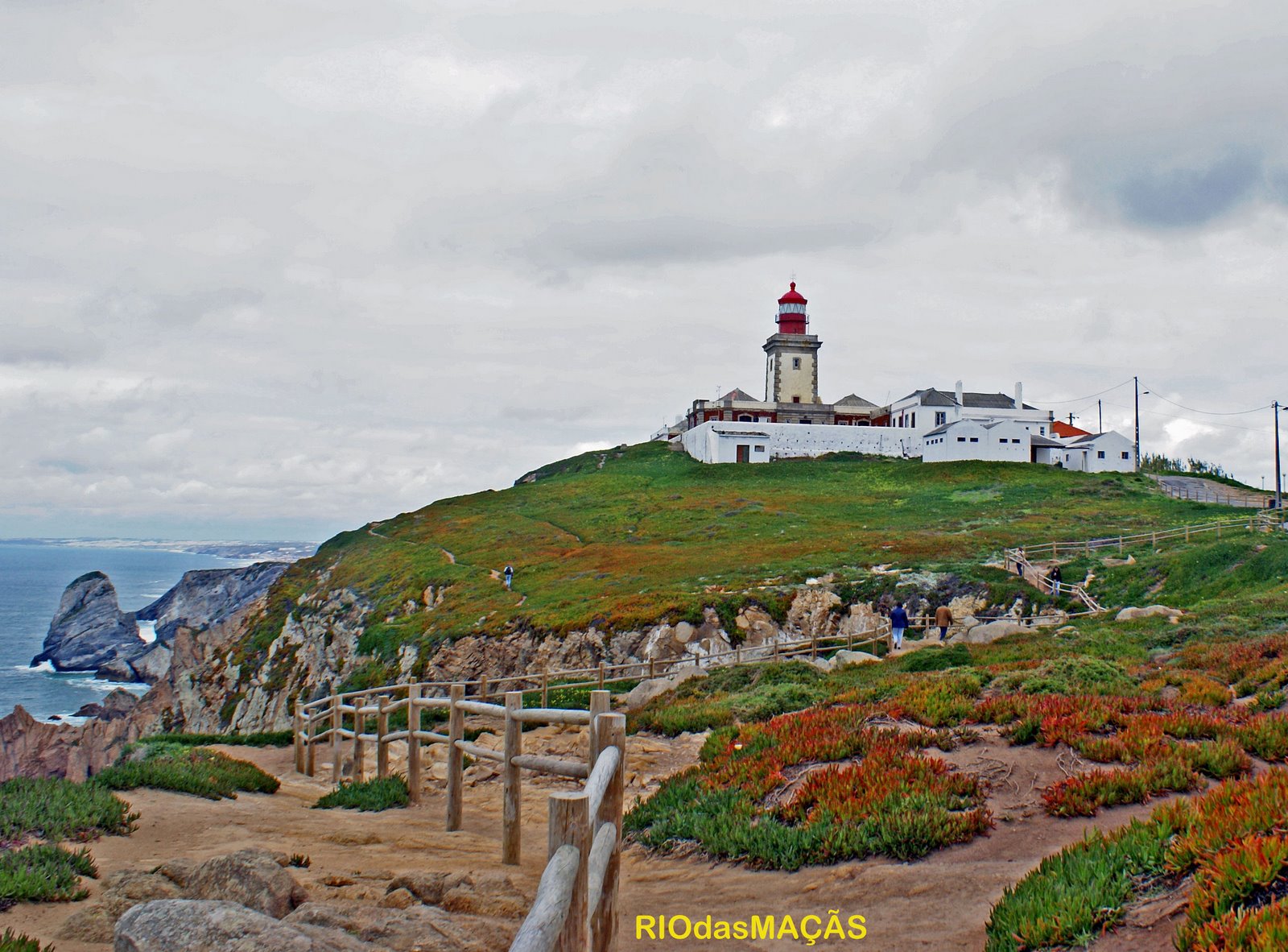 [Copy+of+croca3.jpg]