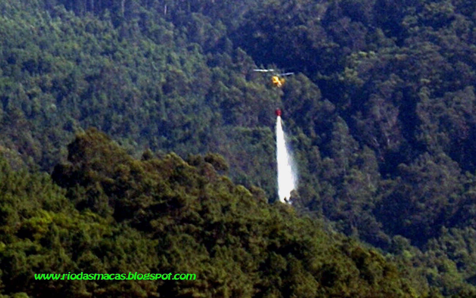 [incendio20098+copy.jpg]