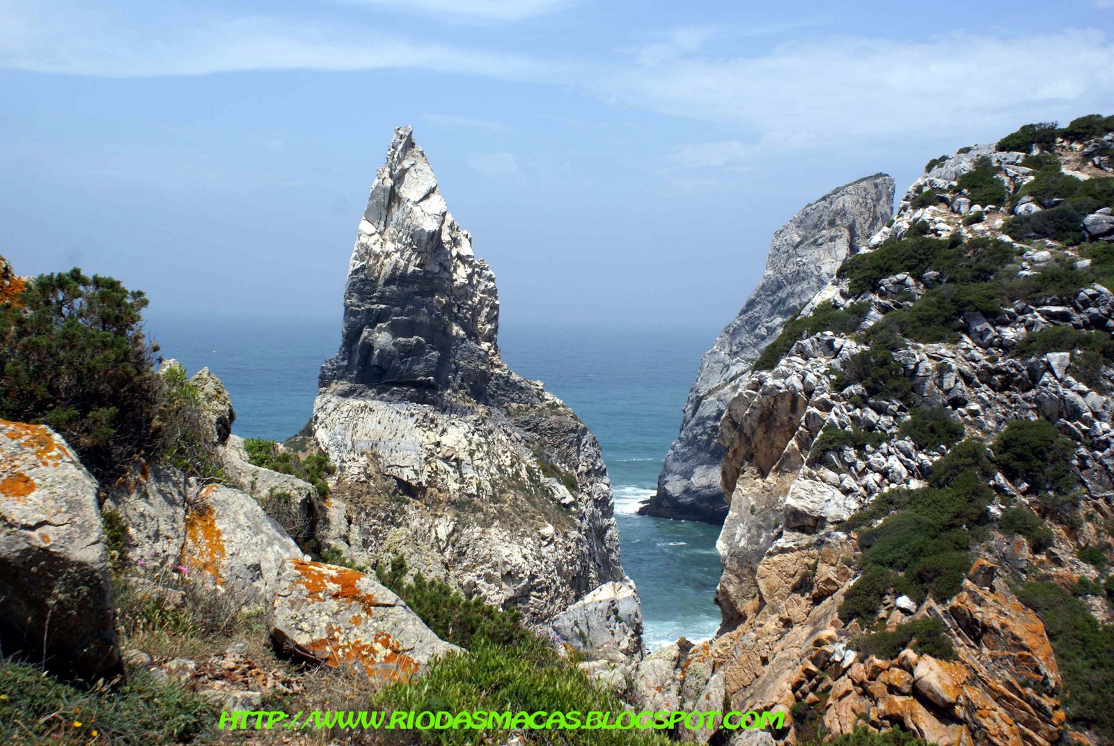 [ursa20092final.jpg]