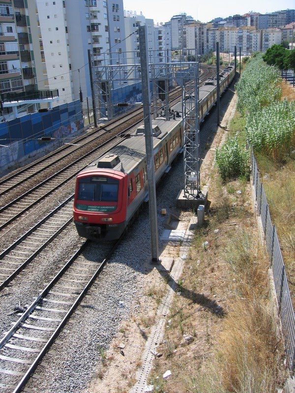 Sintra 2013: As falsas imagens e o papel dos autarcas