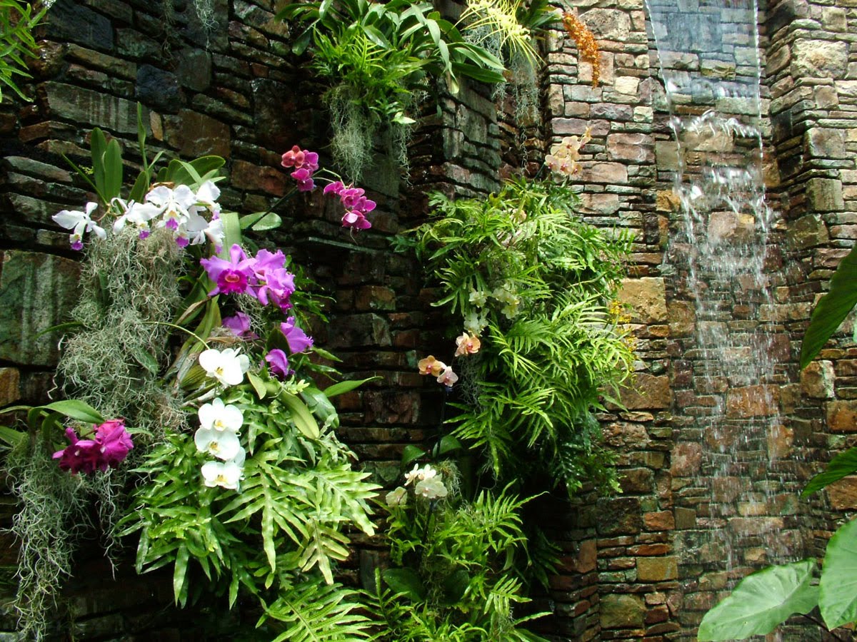 Orchid+Wall+2.jpg 1200×900 pixels Spiritual Gardens Pinterest