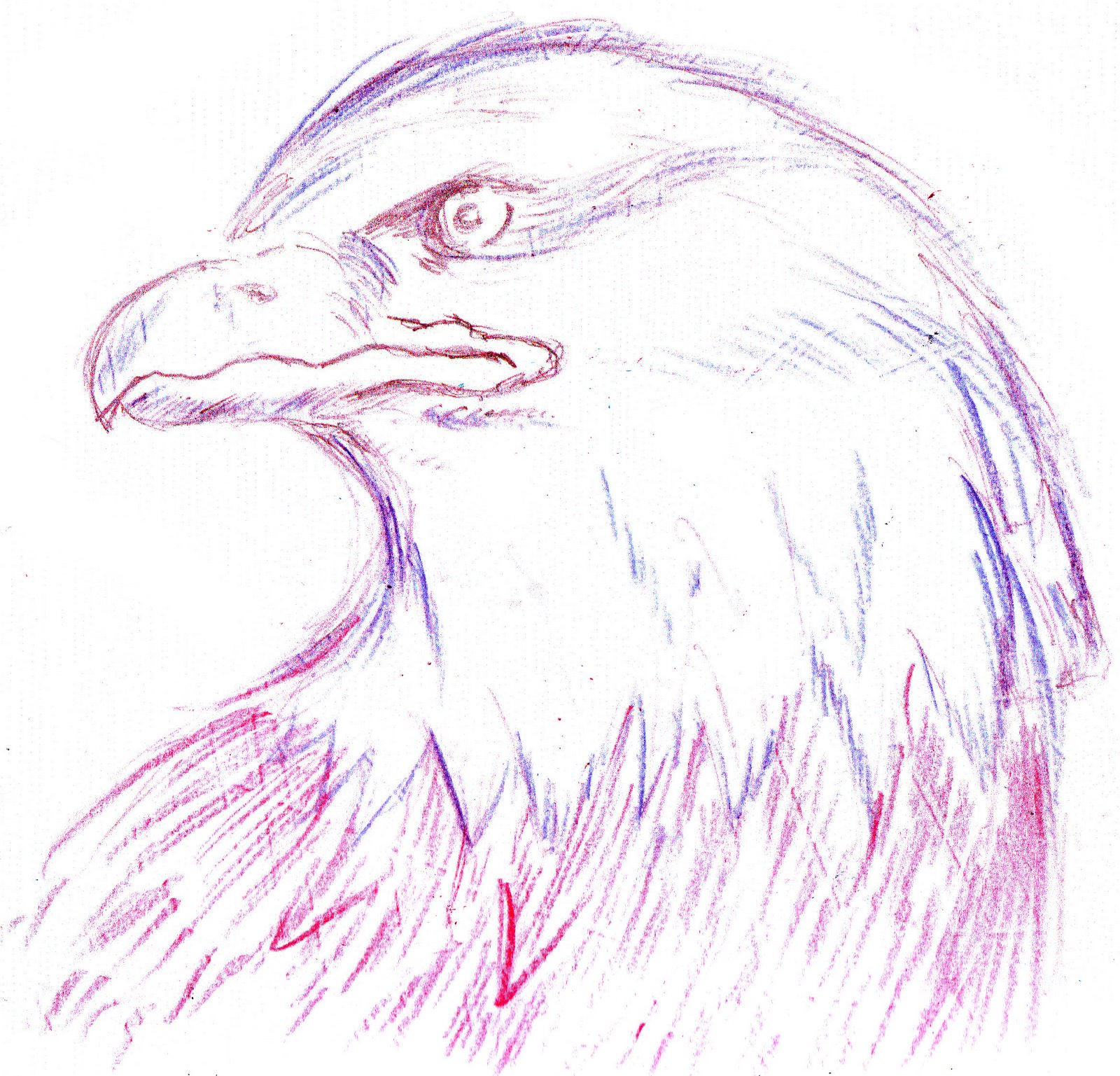 [aguila.jpg]