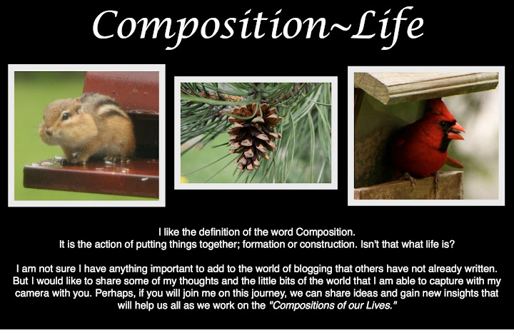 Composition - Life