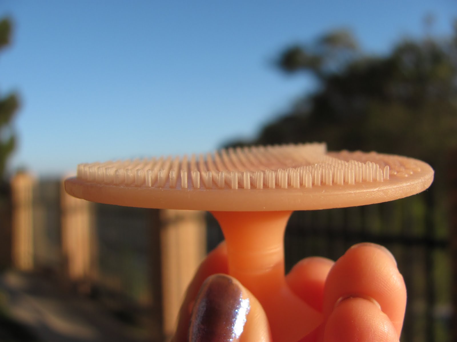 pandaphilia Review L'Oreal Go 360° Clean Deep Exfoliating Scrub