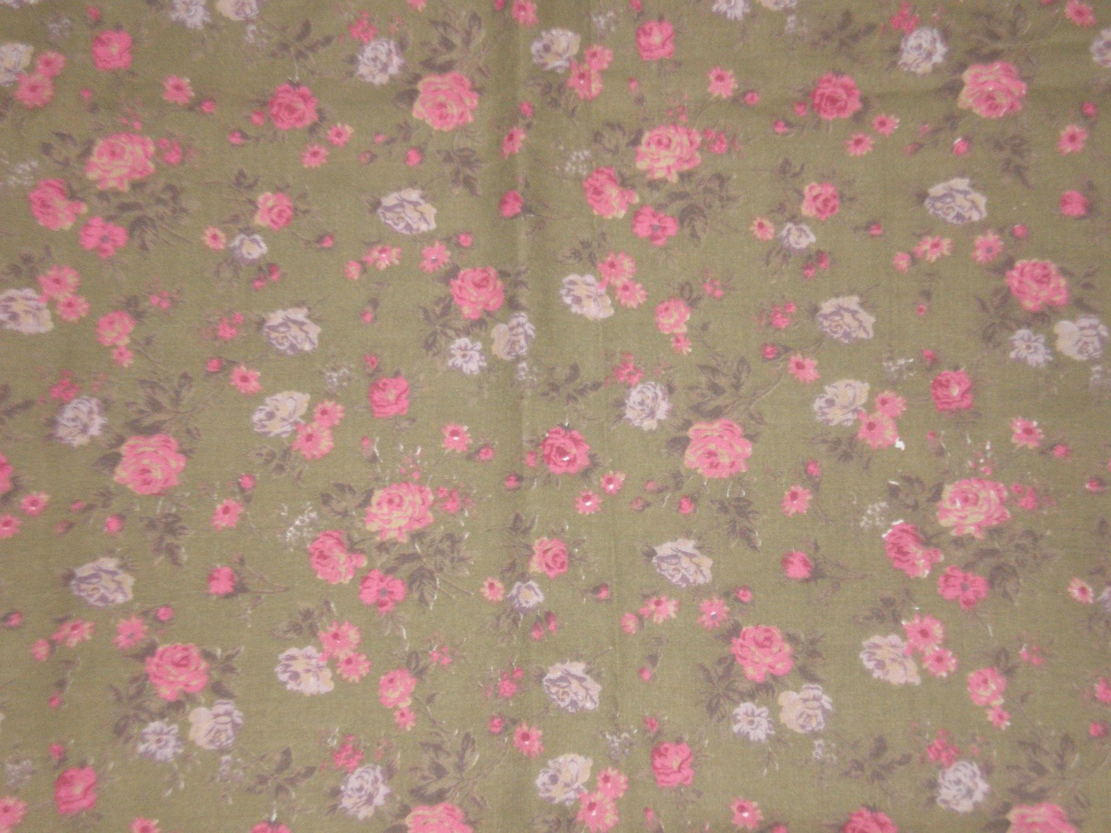 [English+Cotton.JPG]