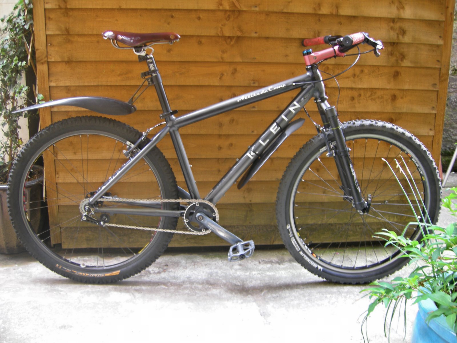 Single Speed & Rigid Fork???