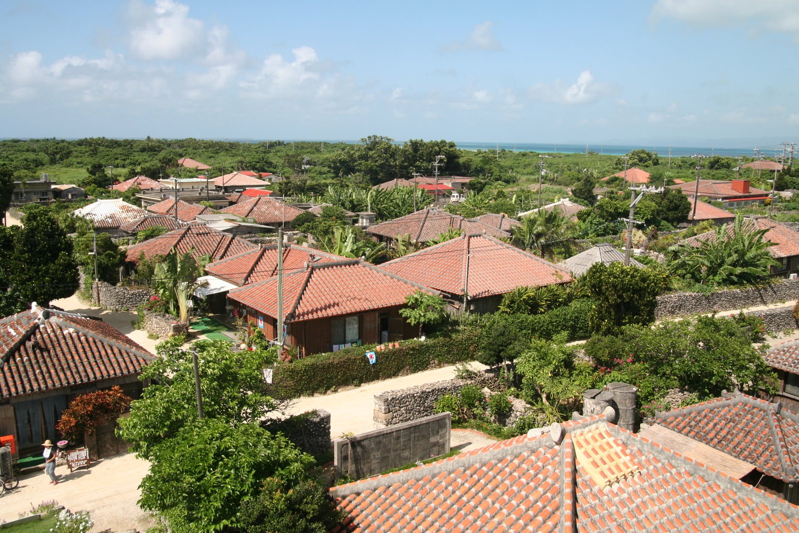 Gatto E Topo 竹富島