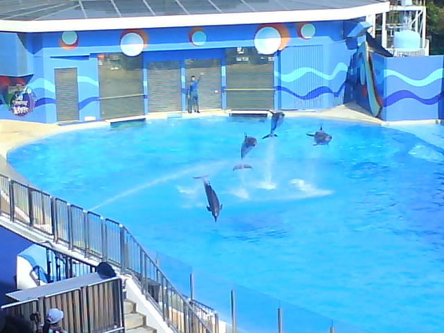[DSC01098.JPG]