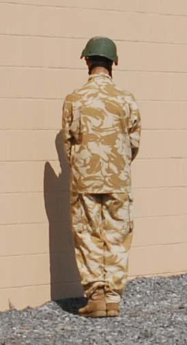 [Desert+British.png]