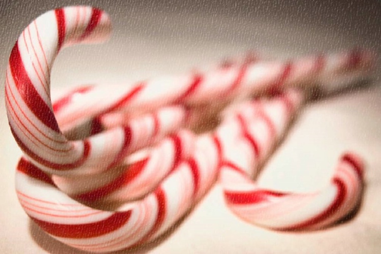 [candy-cane.jpg]
