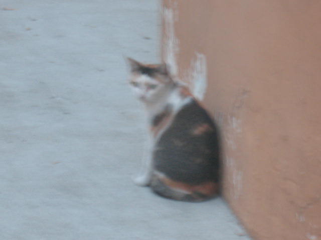 [IMG_0815.JPG]