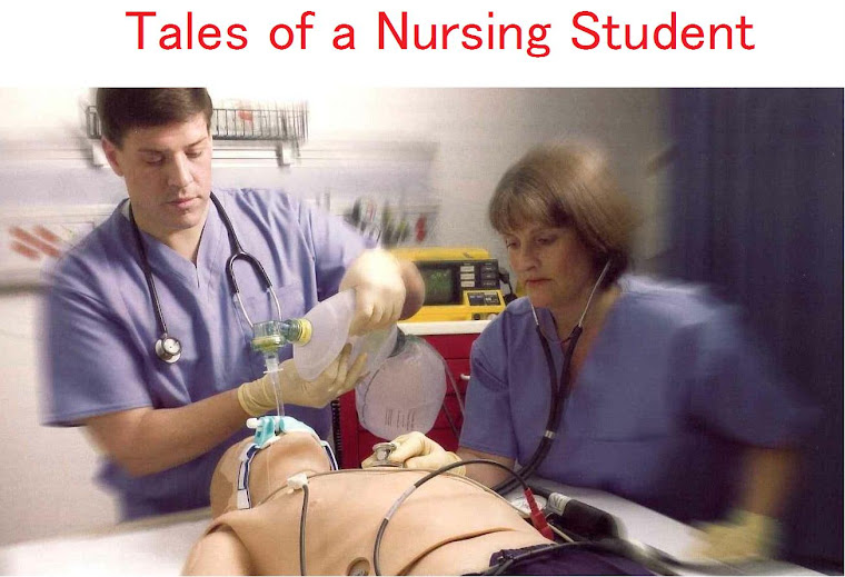 Tales of a Nursing Student
