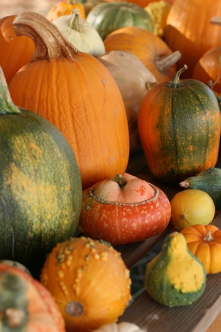 [IMG_4069.JPG]