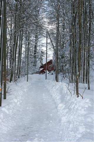 [IMG_7810.JPG]