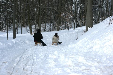 [IMG_7808.JPG]
