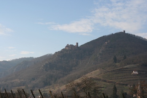 [IMG_8570.JPG]