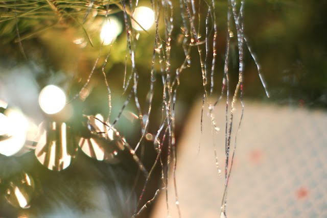 [20091210-IMG_7130.jpg]