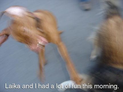 [Funthismorning.jpg]