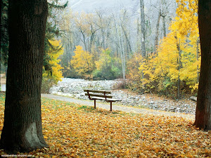 Autumn Wallpapers 26 Images, Picture, Photos, Wallpapers
