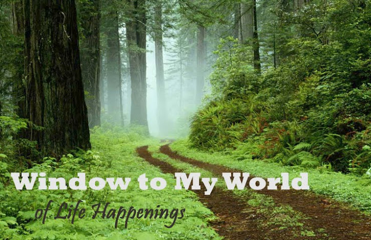 Window to My World of Life Happenings