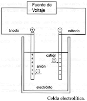 Celda 2.