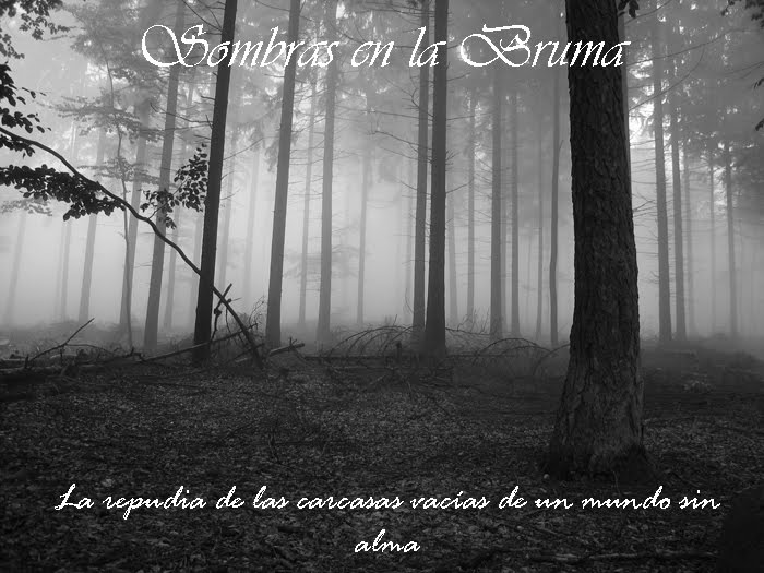 Sombras en la Bruma