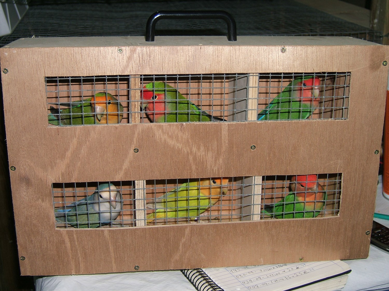 [Transportadora.JPG]