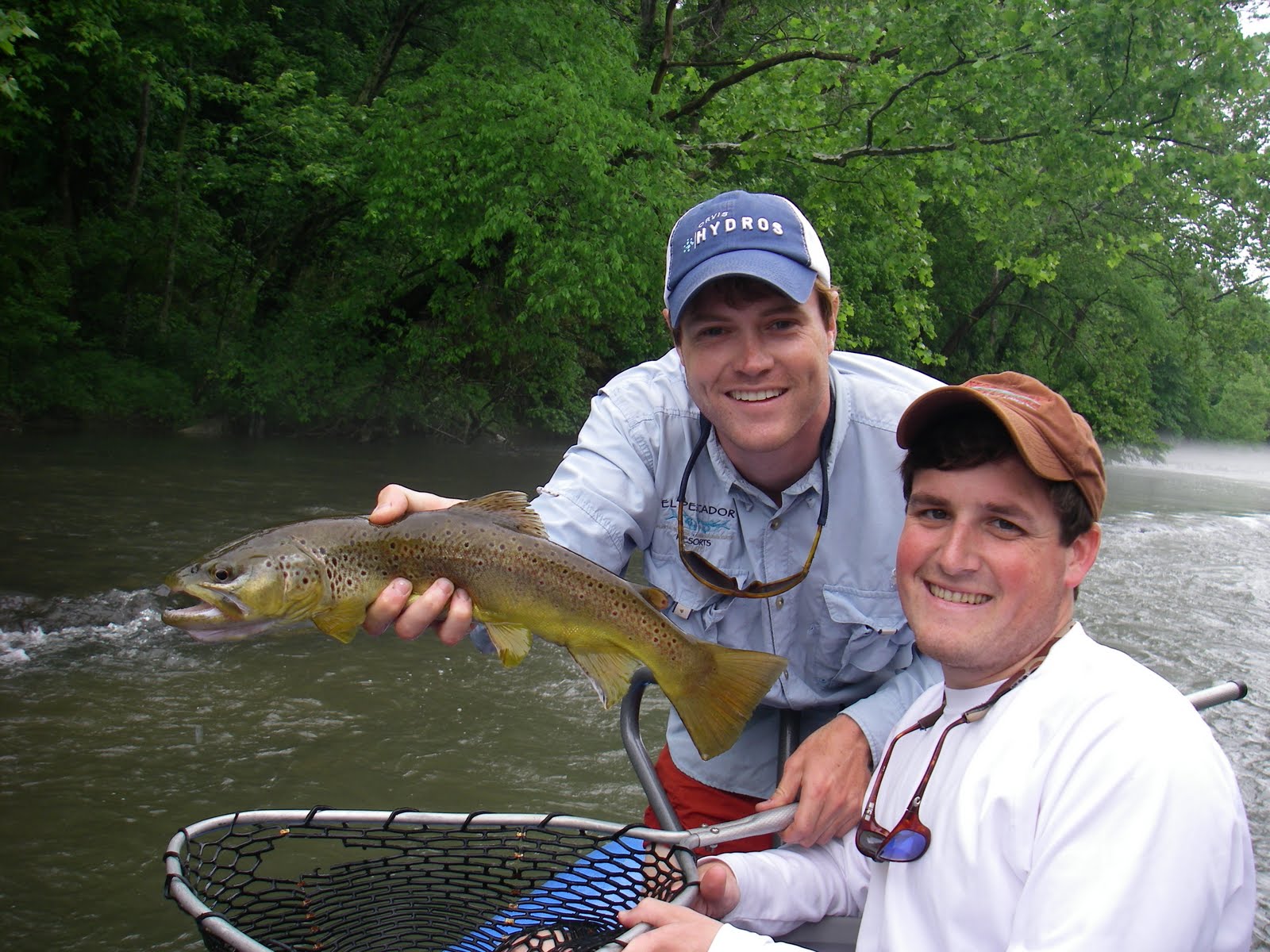 Brown Trout Fly Fishing Watauga River Streamer Fishing