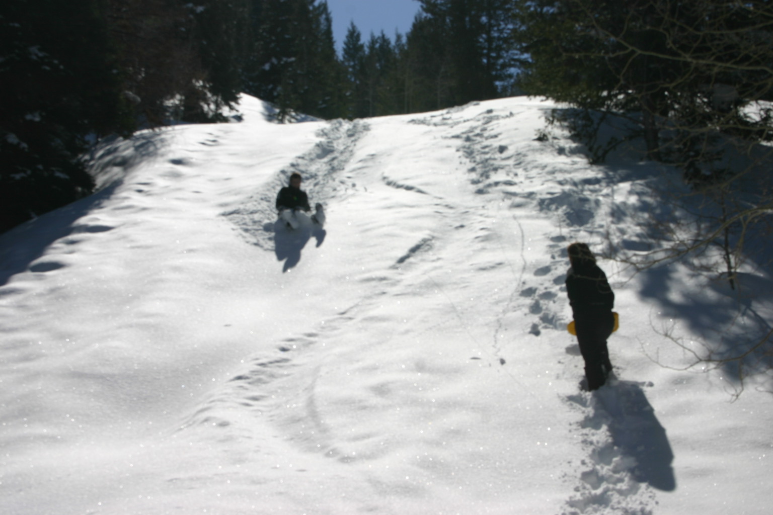 [IMG_6277.JPG]