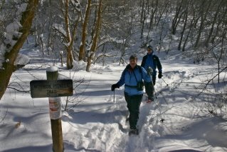 [IMG_5792ppp.jpg]