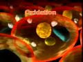 video/click to play