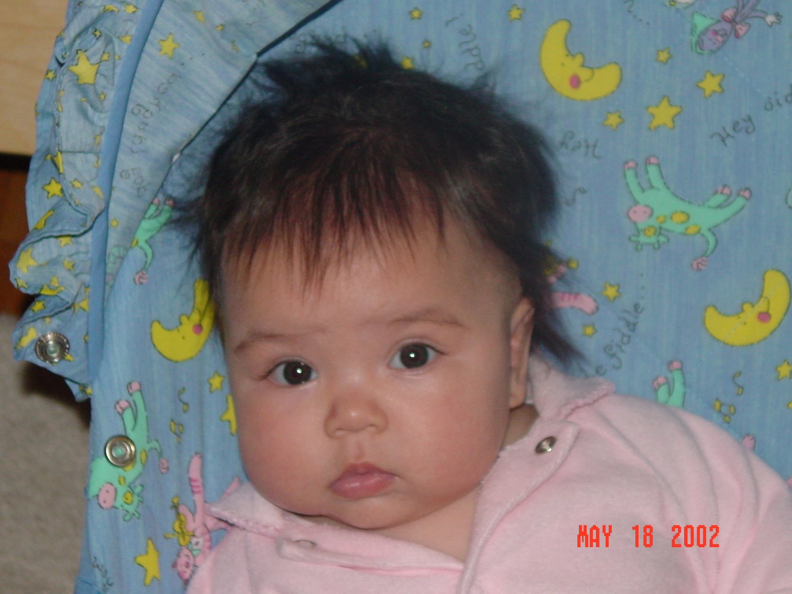 [DSC01054.JPG]