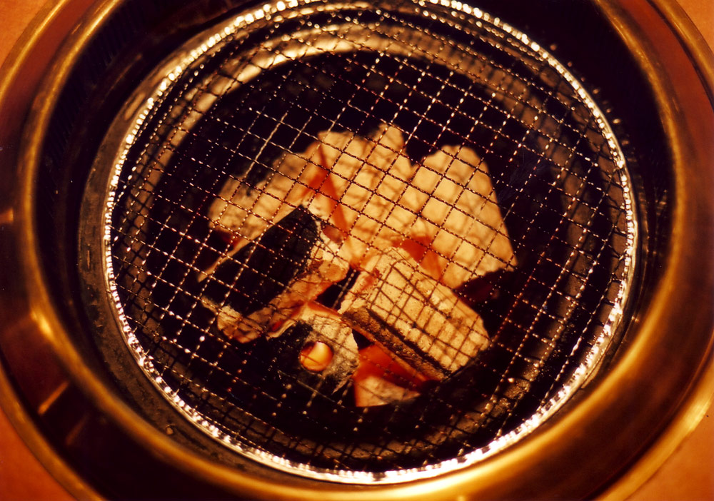 [20080903_kinjyo2.jpg]