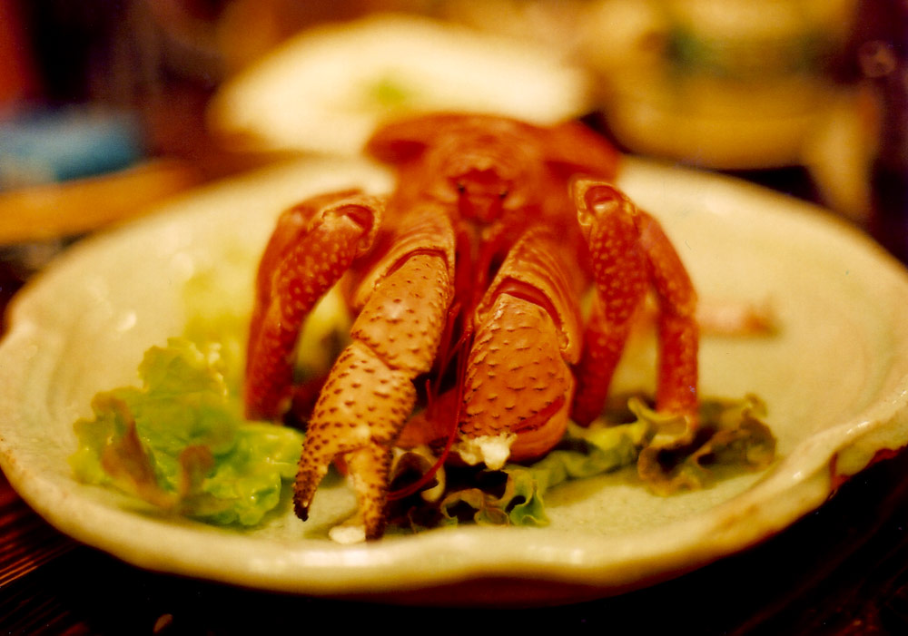 [20080904_jinbei6.jpg]