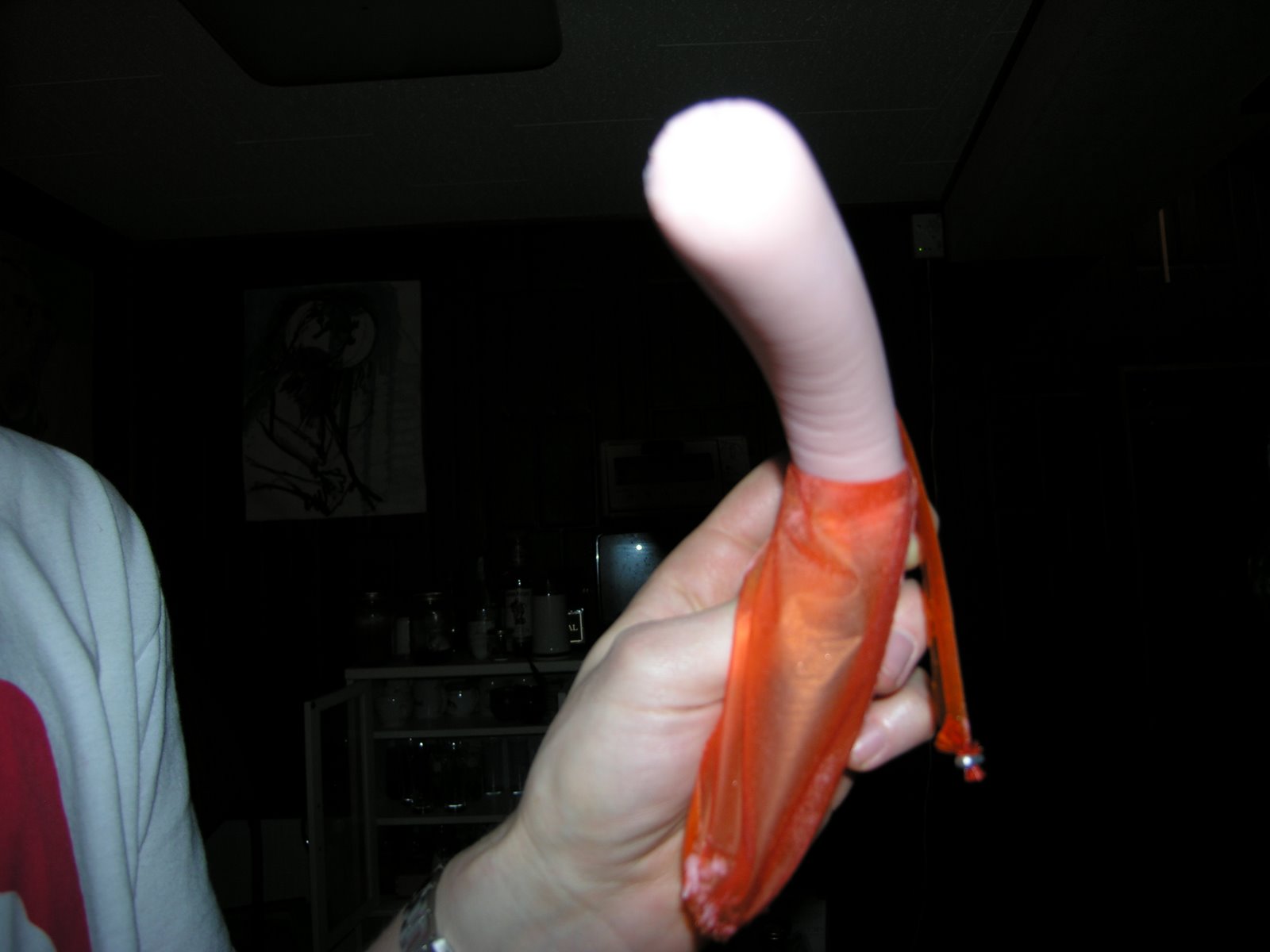 [DSCN4737.JPG]