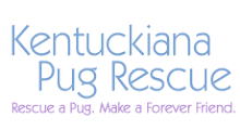 Best Pug Rescue Around!