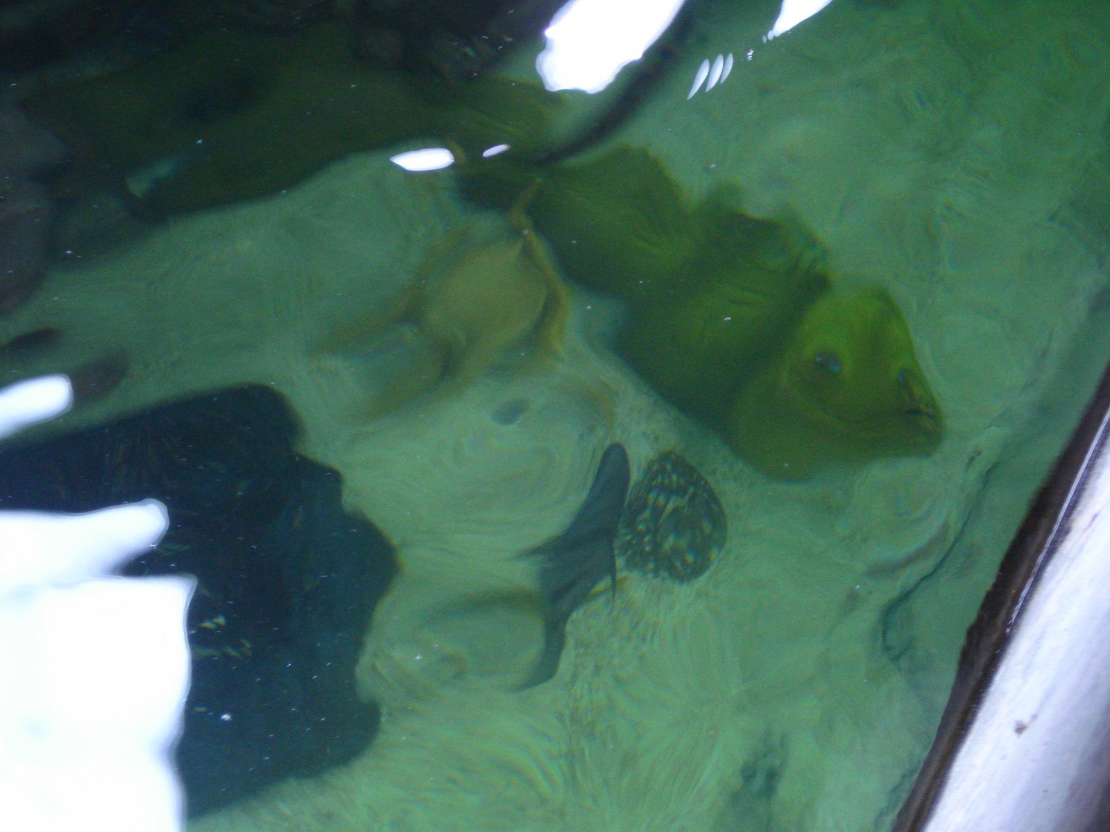 [DSC01414.JPG]