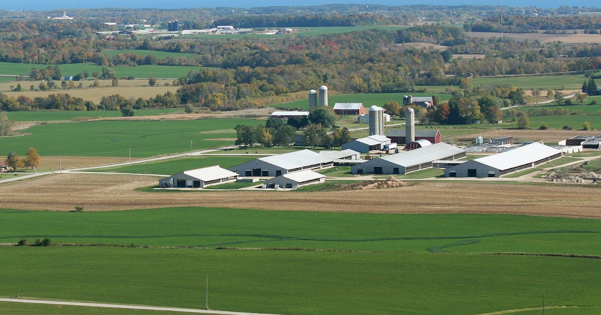 Soaring Eagle Three Girls Farmin' with Dad to Blogging