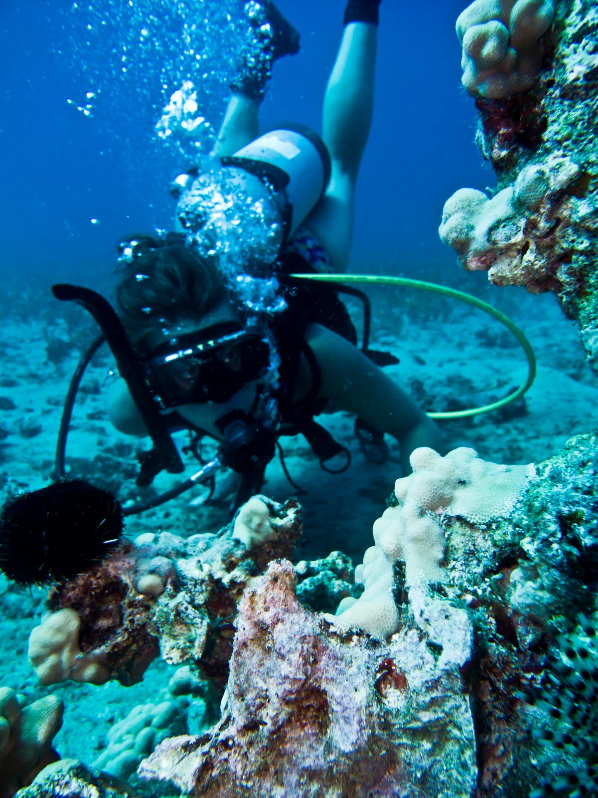 Margaretha Fortmann Scuba Diving Maui