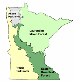 Minnesota Biomes 2010