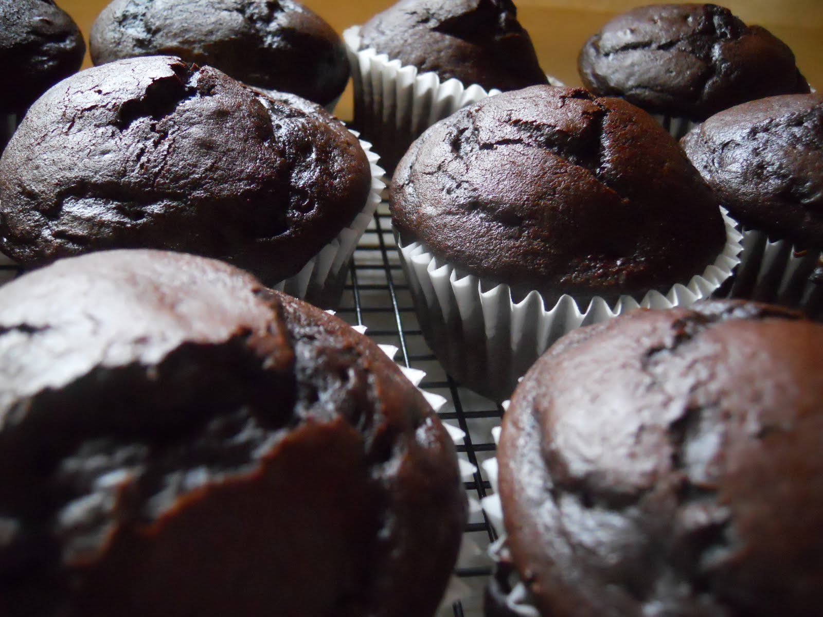 Jesse's Kitchen Chocolate Kahlua Cupcakes