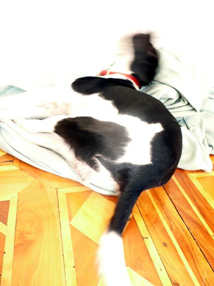 [lazy+sunday...4.jpg]