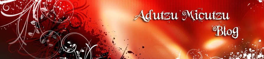 Adutzu Micutzu Blog