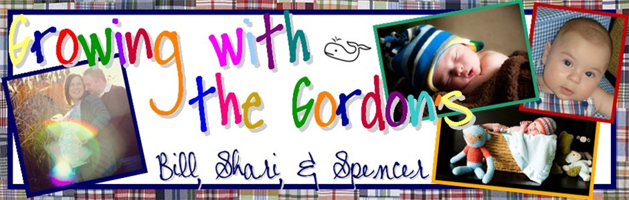 The Gordon's