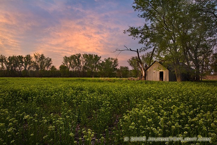 [IMG_4332_shedfield2.jpg]