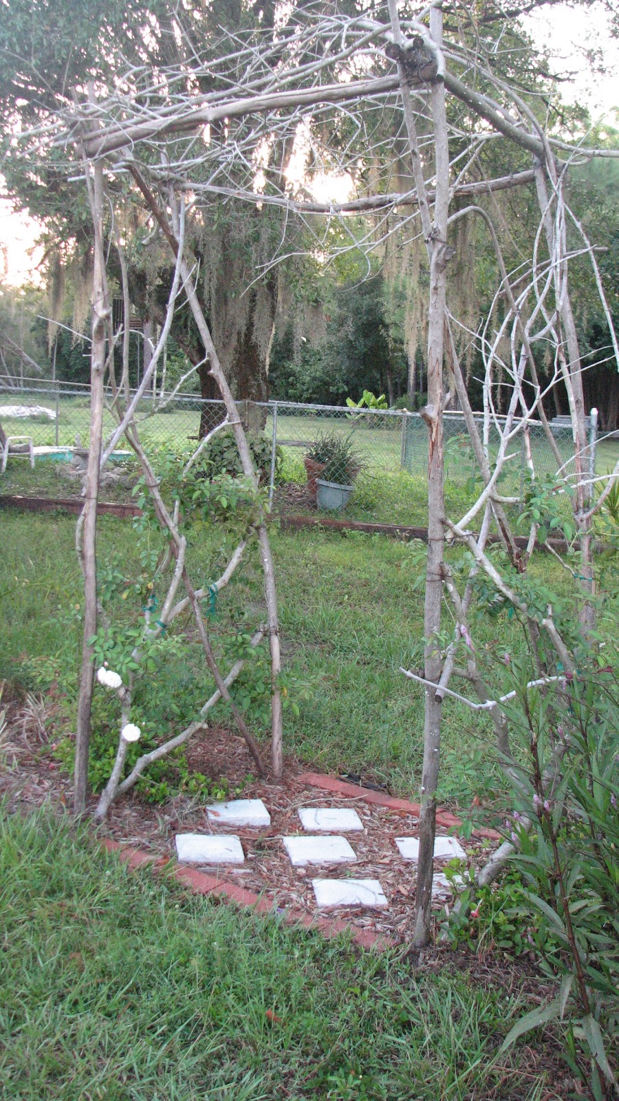 The Novice Gardener Stick trellis and wild roses