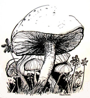 mushrooms to draw